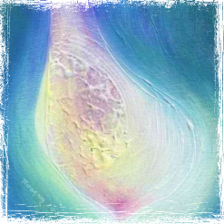 Intuitivní obraz - Atelier Rosana